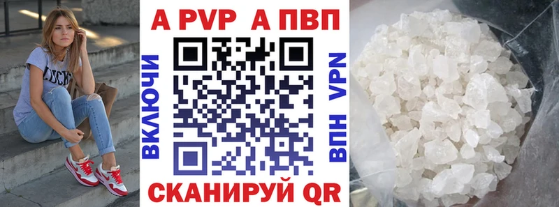 закладка Кропоткин А ПВП СК